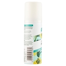Bellery Shampoo Secco Original classic fresh 50 ml